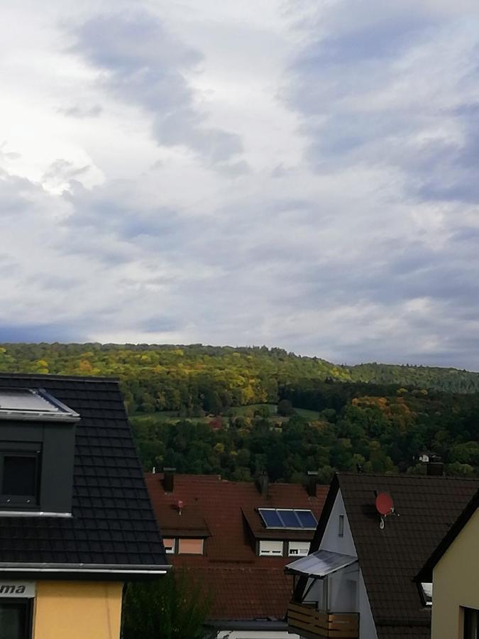 Ferienappartement Obrigheim Mosbach  Eksteriør billede