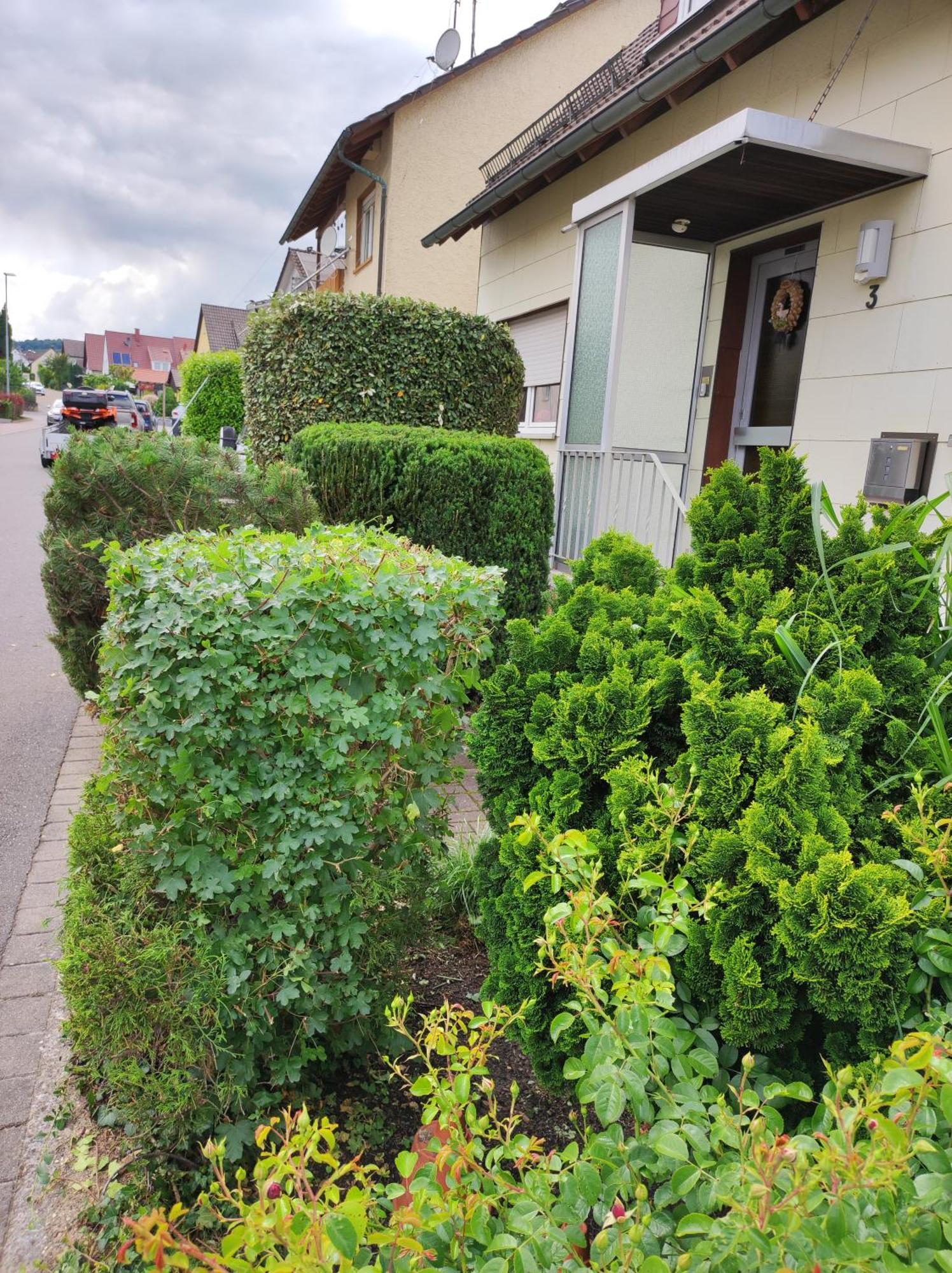 Ferienappartement Obrigheim Mosbach  Eksteriør billede